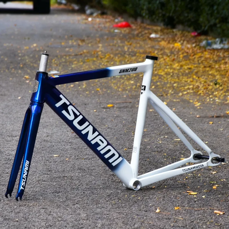 SNM200 Aluminum Alloy Fixed Ge - Cycling Gear For Commuting 评论和价格
