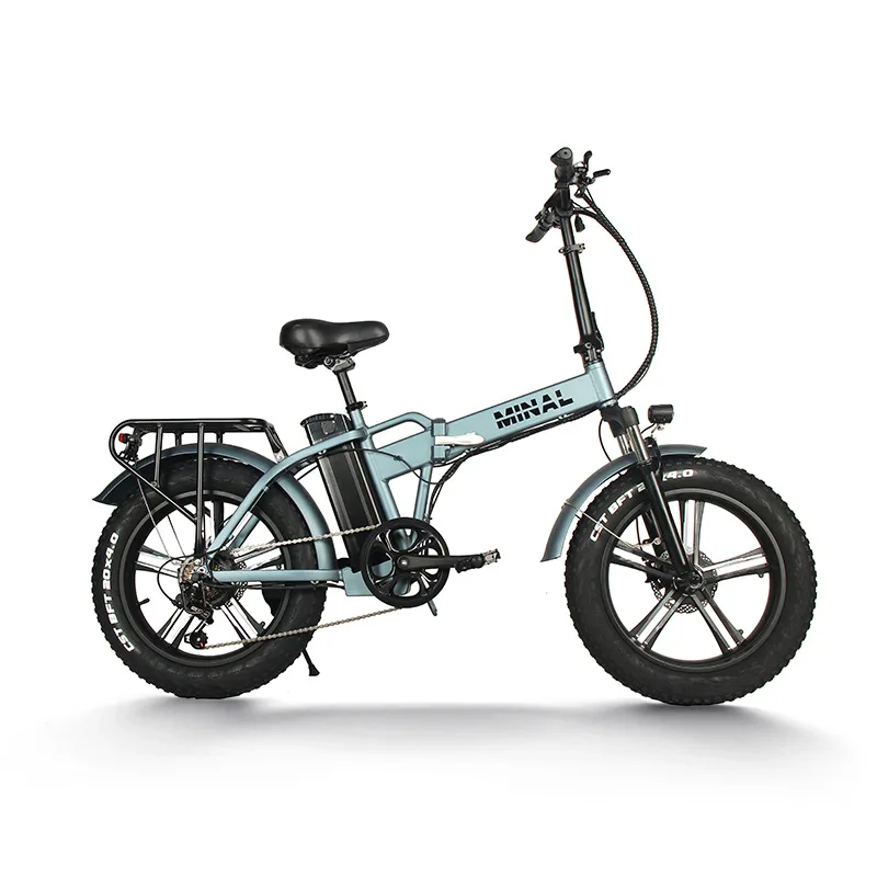 48V 350W 10.5Ah FTC200 Electri - Cycling Gear For Commuting 评论和价格