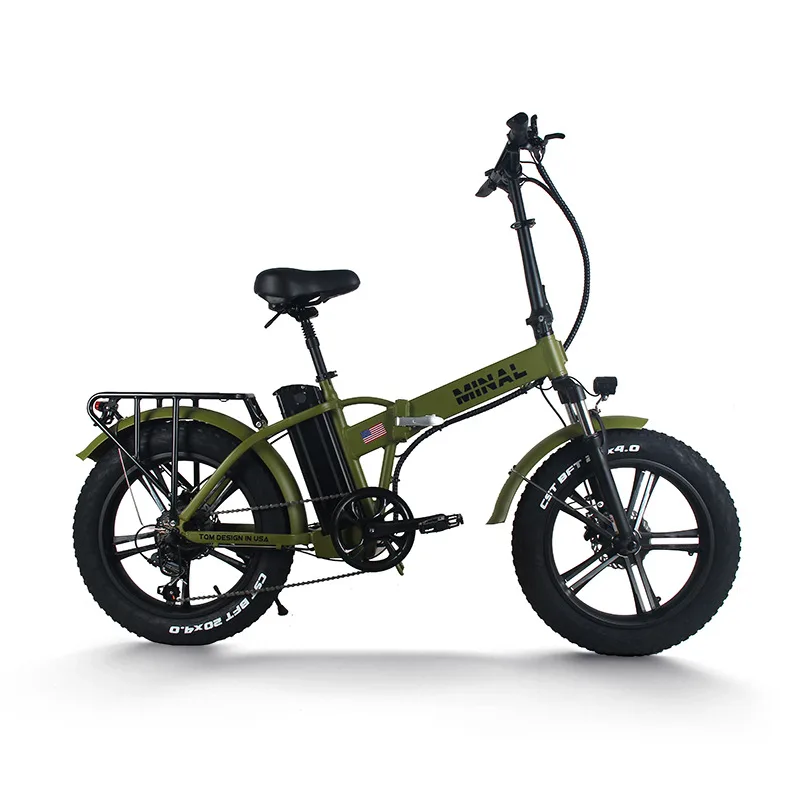 48V 350W 10.5Ah FTC200 Electri - Cycling Gear For Commuting 评论和价格