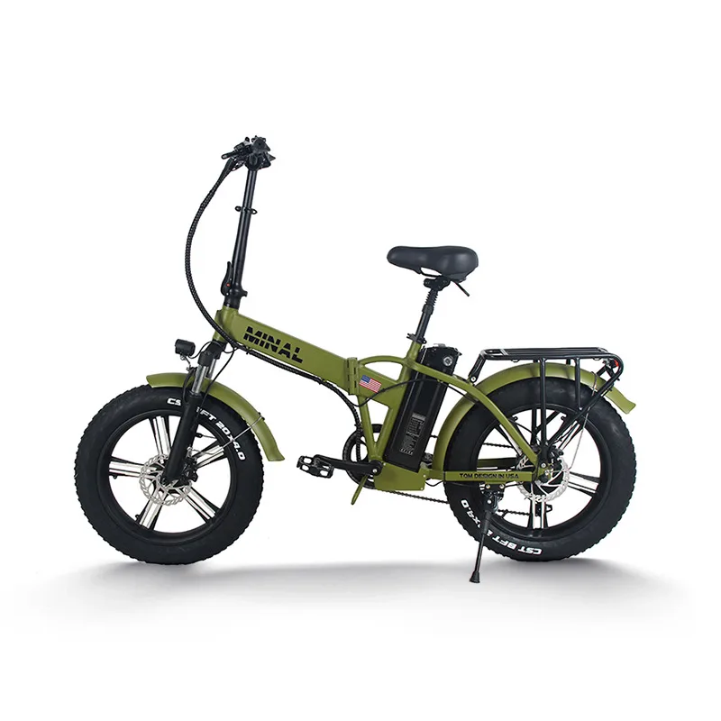 48V 350W 10.5Ah FTC200 Electri - Cycling Gear For Commuting 评论和价格